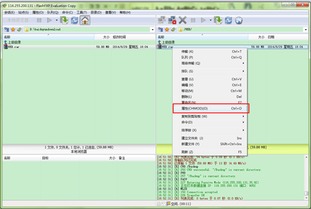 FTP服務(wù)器軟件下載與配置 軟件開(kāi)發(fā)者的指南
