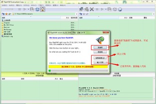 FTP服務(wù)器軟件下載與配置指南 搭建高效文件傳輸服務(wù)